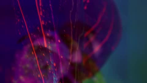 Alina online show from January 14, 2026, 6:46 pm