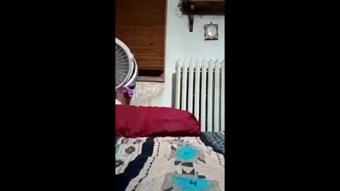 heythatguy2589 online show from March 21, 2026, 9:36 am