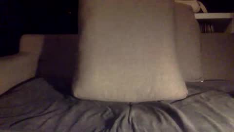 fit uk decorator online show from March 31, 2026, 8:09 pm