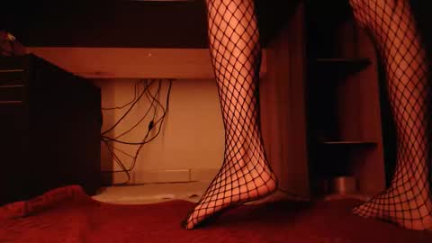 Snapshot of hibo66 chatting on January 19, 2026, 2:04 am InMyAss online show from January 19, 2026, 2:04 am