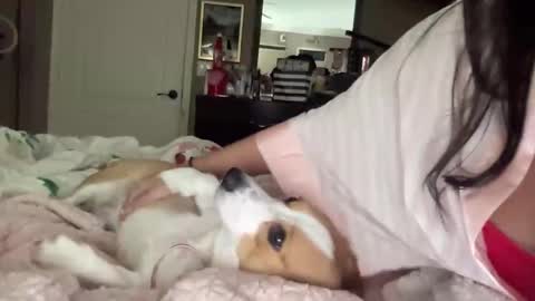 HiddenR0se online show from February 14, 2026, 3:14 am