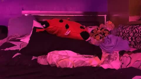 HiGHNESS CANNA online show from February 11, 2026, 4:56 pm