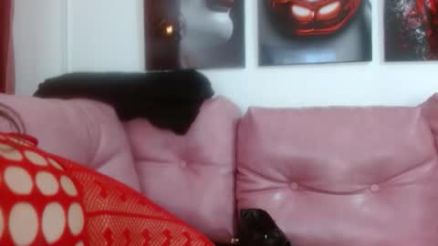 Snapshot of hinataleecs chatting on September 29, 2025, 6:02 pm hinata lee online show from September 29, 2025, 6:02 pm