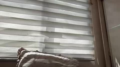 holly_wyn online show from March 14, 2026, 1:55 am