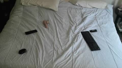 HollyGirl88 online show from December 21, 2024, 4:36 pm