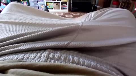 holycannoli123 online show from October 15, 2025, 1:22 pm