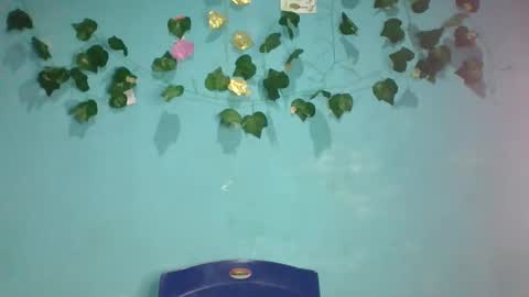 Queen online show from November 13, 2025, 1:48 am