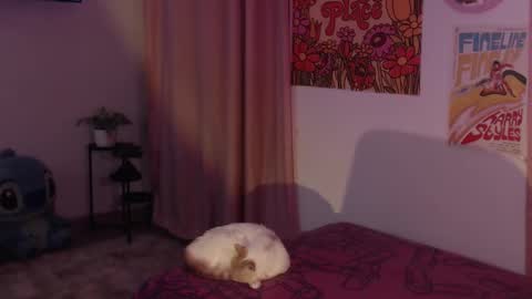 Snapshot of honeyypeaach chatting on December 11, 2024, 12:12 am online show from December 11, 2024, 12:12 am