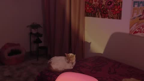 Snapshot of honeyypeaach chatting on December 18, 2024, 11:30 pm online show from December 18, 2024, 11:30 pm