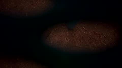 Snapshot of hopper_in_joyce chatting on March 2, 2025, 9:10 am hopper_in_joyce online show from March 2, 2025, 9:10 am