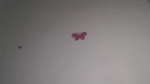 Iris online show from February 5, 2026, 7:18 pm