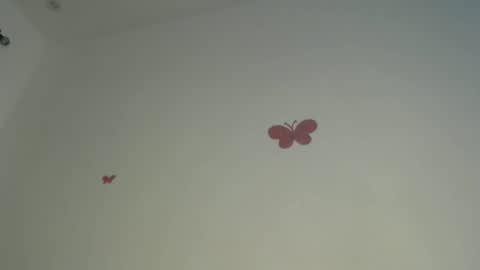 Iris online show from April 6, 2026, 7:48 pm