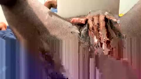 Snapshot of hornyftmguy82 chatting on December 18, 2024, 1:15 am hornyftmguy82 online show from December 18, 2024, 1:15 am