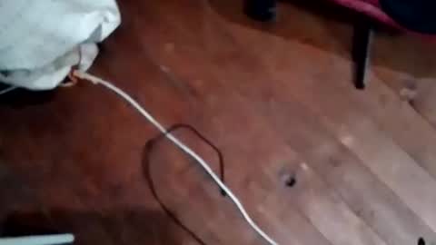 Snapshot of hornypaul84 chatting on November 5, 2025, 7:47 pm hornypaul84 online show from November 5, 2025, 7:47 pm