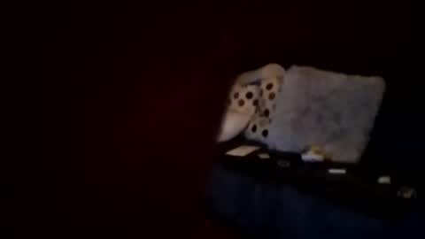 Snapshot of hornypaul84 chatting on January 7, 2026, 1:19 am hornypaul84 online show from January 7, 2026, 1:19 am