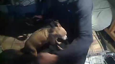 hornyscott666 online show from March 4, 2026, 9:04 am