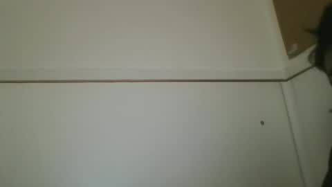 hotandwild2003 online show from February 16, 2026, 3:08 pm