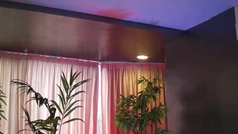 Anais online show from February 15, 2026, 10:03 am