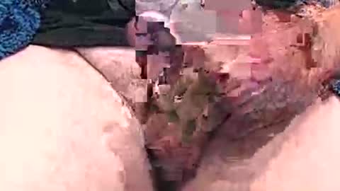 hotcam96 online show from December 15, 2024, 3:31 pm