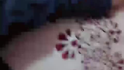 Hotcapolx online show from November 23, 2025, 4:51 pm