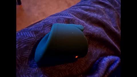 Snapshot of hothornyanddutch chatting on January 27, 2025, 8:17 pm Hot Dutchie online show from January 27, 2025, 8:17 pm