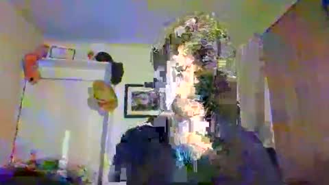 Marco Polo online show from November 10, 2025, 12:31 am