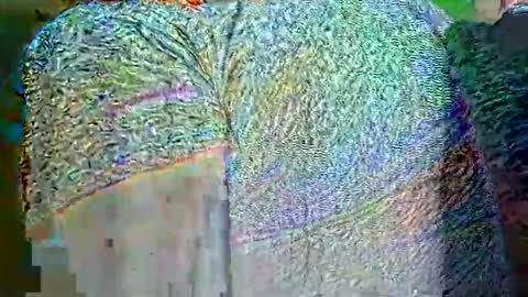 Snapshot of hp58649blabla chatting on September 25, 2025, 9:02 am hp58649blabla online show from September 25, 2025, 9:02 am