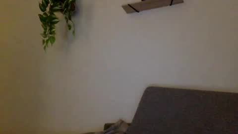 Snapshot of hugeswedishviking chatting on December 13, 2024, 3:11 pm hugeswedishviking online show from December 13, 2024, 3:11 pm