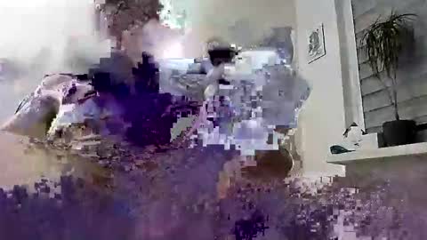 David online show from March 4, 2026, 6:58 pm