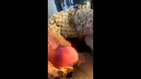 Snapshot of hungminer69 chatting on April 12, 2026, 1:43 am hungminer69 online show from April 12, 2026, 1:43 am