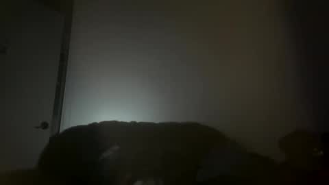 Snapshot of hustlemacc chatting on November 16, 2025, 2:11 pm hustlemacc online show from November 16, 2025, 2:11 pm