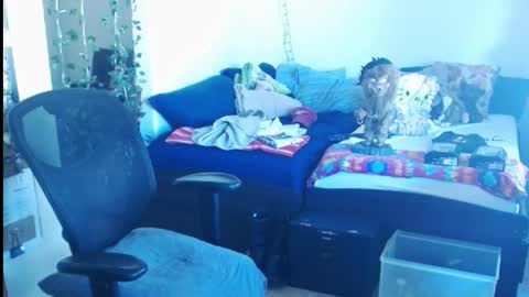 Snapshot of ibpms247 chatting on February 24, 2025, 5:42 pm PMS online show from February 24, 2025, 5:42 pm