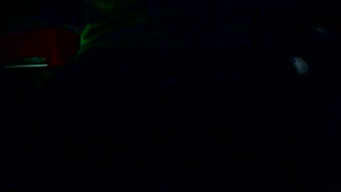 Nicolas online show from December 4, 2025, 2:21 am