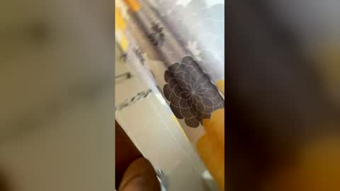 Snapshot of ikaikagora00 chatting on March 5, 2026, 4:36 pm ikaikagora00 online show from March 5, 2026, 4:36 pm