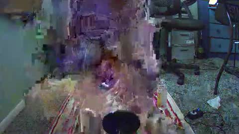 imurl0stluv online show from April 20, 2026, 12:57 am