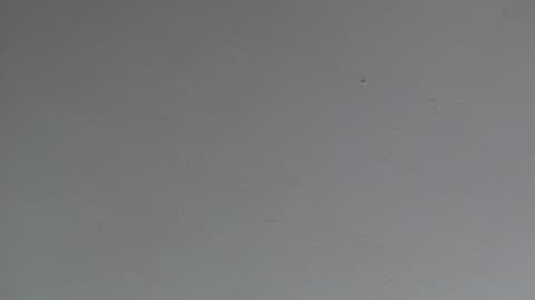 Snapshot of indianajoe69andfriend chatting on January 11, 2025, 3:13 am Indiana Joe 69 and Friend online show from January 11, 2025, 3:13 am