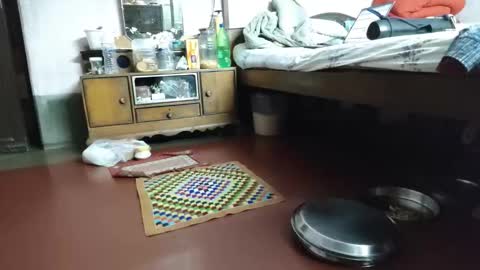 Snapshot of indianjhonnysins chatting on March 12, 2026, 7:09 pm BOREDILDO online show from March 12, 2026, 7:09 pm