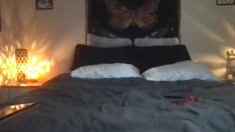 Indigo Bay online show from February 16, 2025, 7:26 am