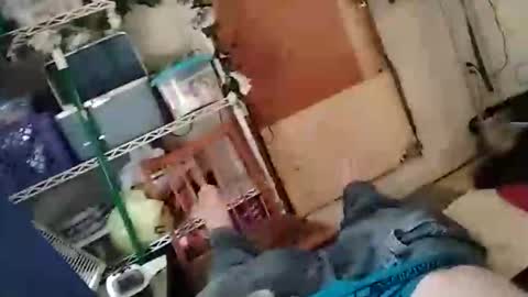 infantrycum91 online show from April 8, 2026, 7:03 pm