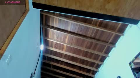 Snapshot of ink_demon chatting on December 29, 2024, 3:33 am demon online show from December 29, 2024, 3:33 am