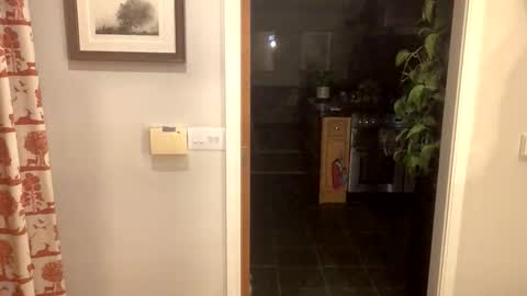 inkpiggy online show from February 20, 2026, 12:51 am