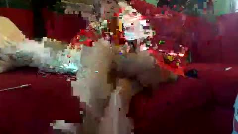 Snapshot of inmirrey chatting on May 8, 2026, 8:41 am INMIRREY online show from May 8, 2026, 8:41 am