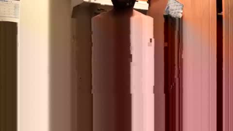 inyourmouthagain online show from October 8, 2025, 9:29 am