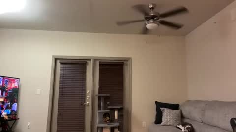 irissweets online show from March 12, 2025, 4:41 am