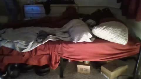 Snapshot of ironcogking chatting on December 23, 2025, 5:49 am SexEngine88 online show from December 23, 2025, 5:49 am