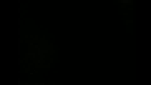 issazorro online show from December 18, 2024, 9:29 pm