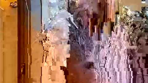 Snapshot of itsfoxie chatting on January 18, 2026, 4:49 am ItsFoxie online show from January 18, 2026, 4:49 am