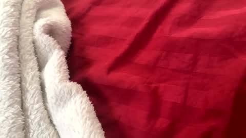 itsjayyourbae online show from November 22, 2025, 2:05 pm