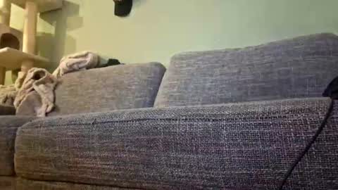 Snapshot of itsjeroen chatting on July 29, 2026, 6:50 pm itsjeroen online show from July 29, 2026, 6:50 pm