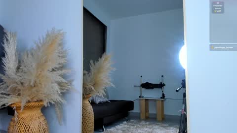 Snapshot of ivy_li chatting on January 14, 2025, 3:11 am Daniela online show from January 14, 2025, 3:11 am